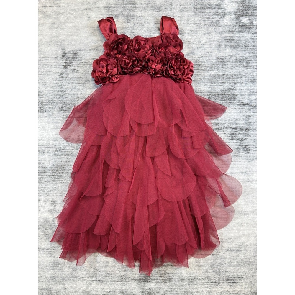Biscotti Girl's Red 3D Flowers Tiered Scalloped Tulle Party Dress Size 5 Holiday